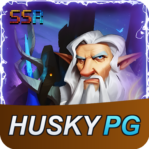 Verificação KYC HUSKYPG